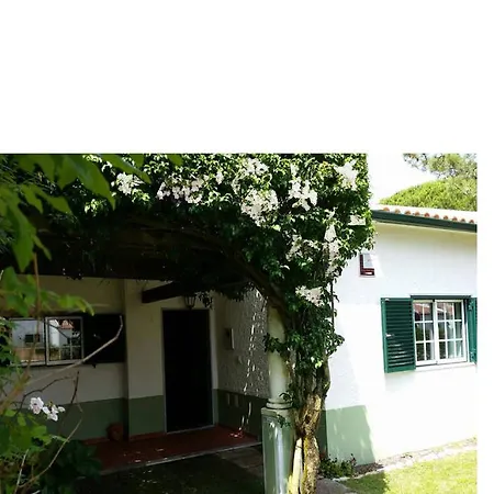White Bougainvillea House *