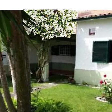 White Bougainvillea House بيت للعطل